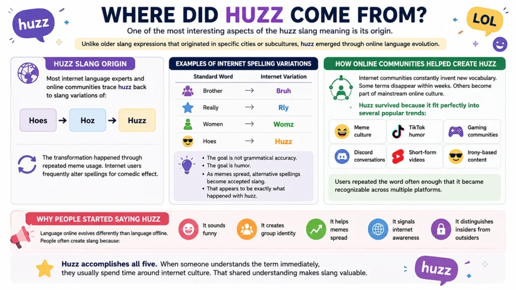 Where Did Huzz Come From