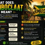 what does bomboclaat mean