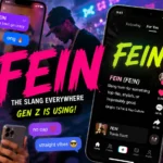 what does fein mean